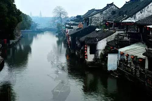 我修的可能是假仙