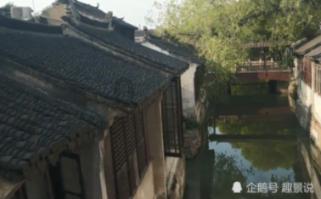 僵尸顶顶乐